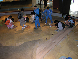 盛岡市遺跡の学び館