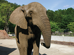 盛岡市動物公園