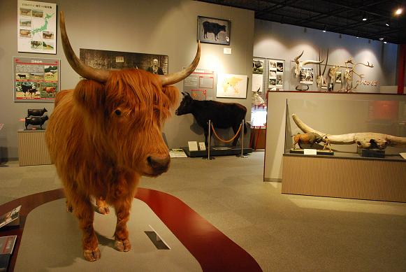 奥州市　牛の博物館