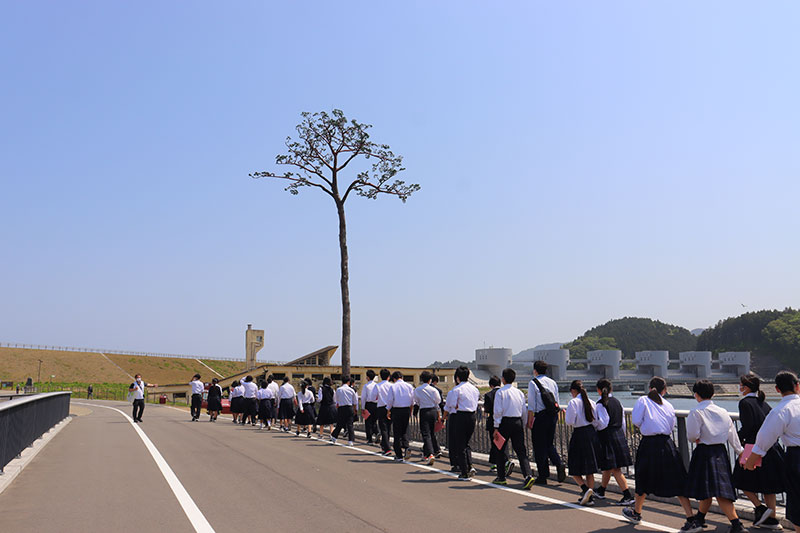 高田松原津波復興祈念公園パークガイド（一般社団法人 陸前高田市観光物産協会）